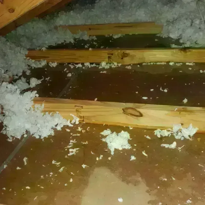 Attic Water Damage in Klickitat County, WA