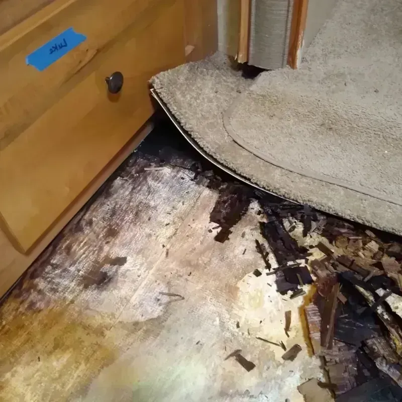 Wood Floor Water Damage in Klickitat County, WA